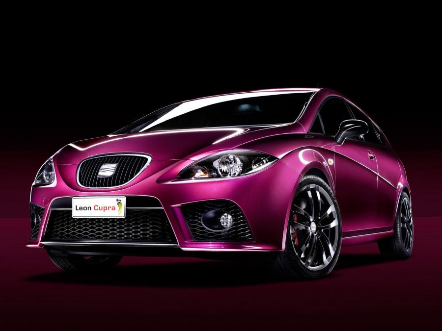  Seat Leon Cupra Pies Descalzos 2007 года  (фото 4 из 14)